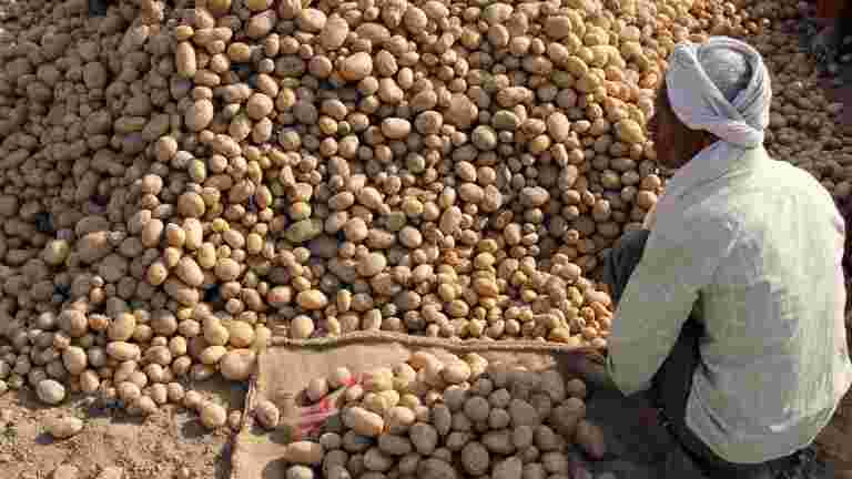 Pepsico对Gujarat Farmers的肆无忌惮的行动，“国会领导人Ahmed Patel表示