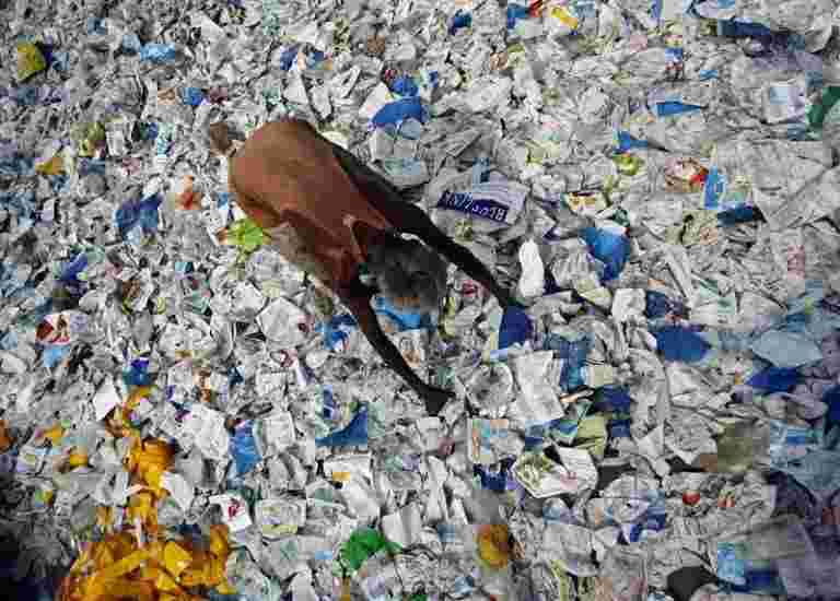 没有塑料禁令的未说明的悲剧在马哈拉施特拉，为什么会失败