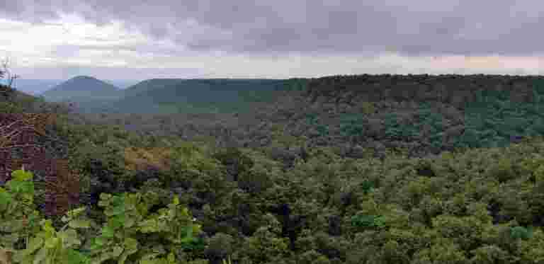 自2017年以来，印度的森林覆盖率超过5000平方公里